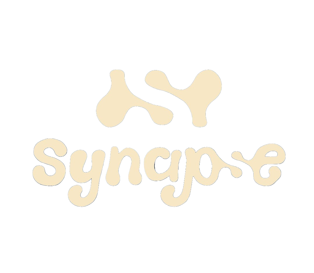 synapse